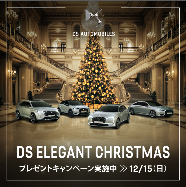 DS ELEGANT CHRISTMAS PRESENT CAMPAIGN🎄🎁