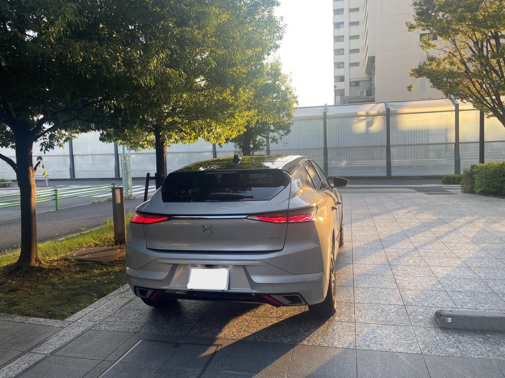 本日は定休日でございます