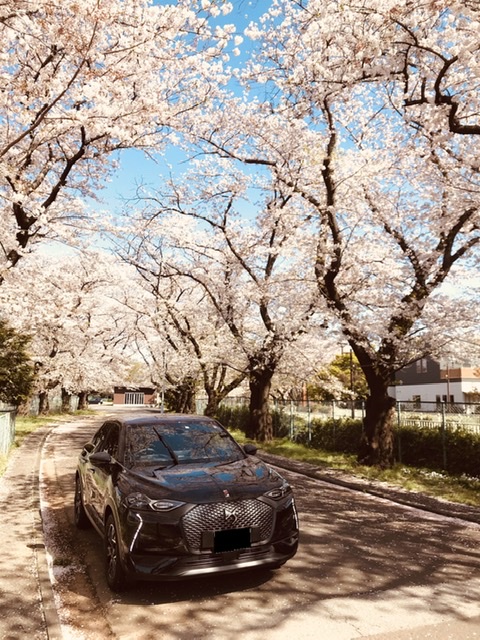 ◆DS 3 CROSSBACK 写真館◆ 01