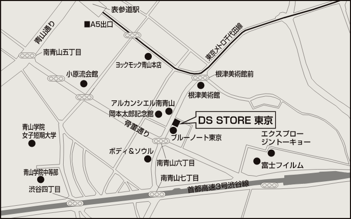 DS STORE 東京 アクセス
